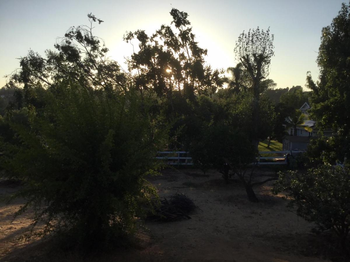 Beautiful New Detached Casita Nestled In Scenic Southern Ca Foothills! Fallbrook Extérieur photo