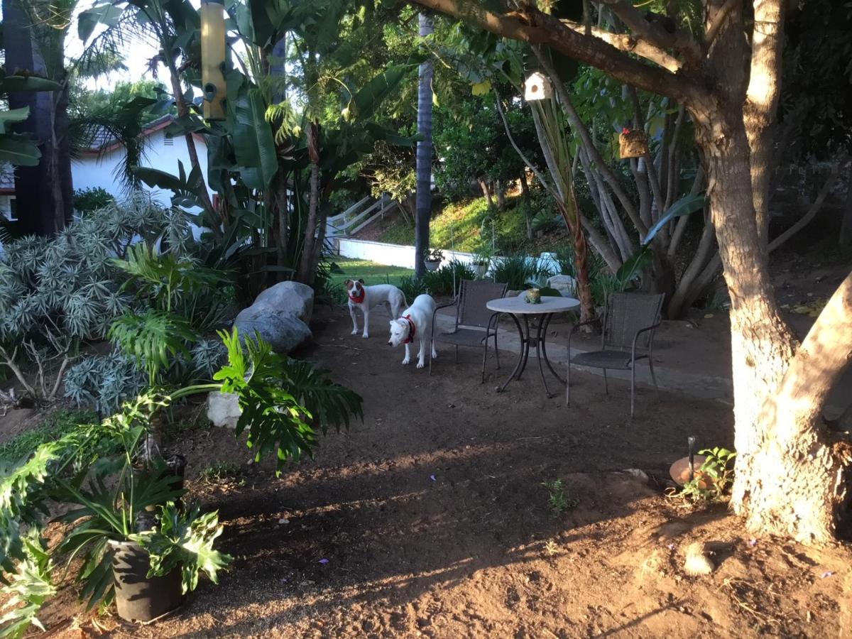 Beautiful New Detached Casita Nestled In Scenic Southern Ca Foothills! Fallbrook Extérieur photo