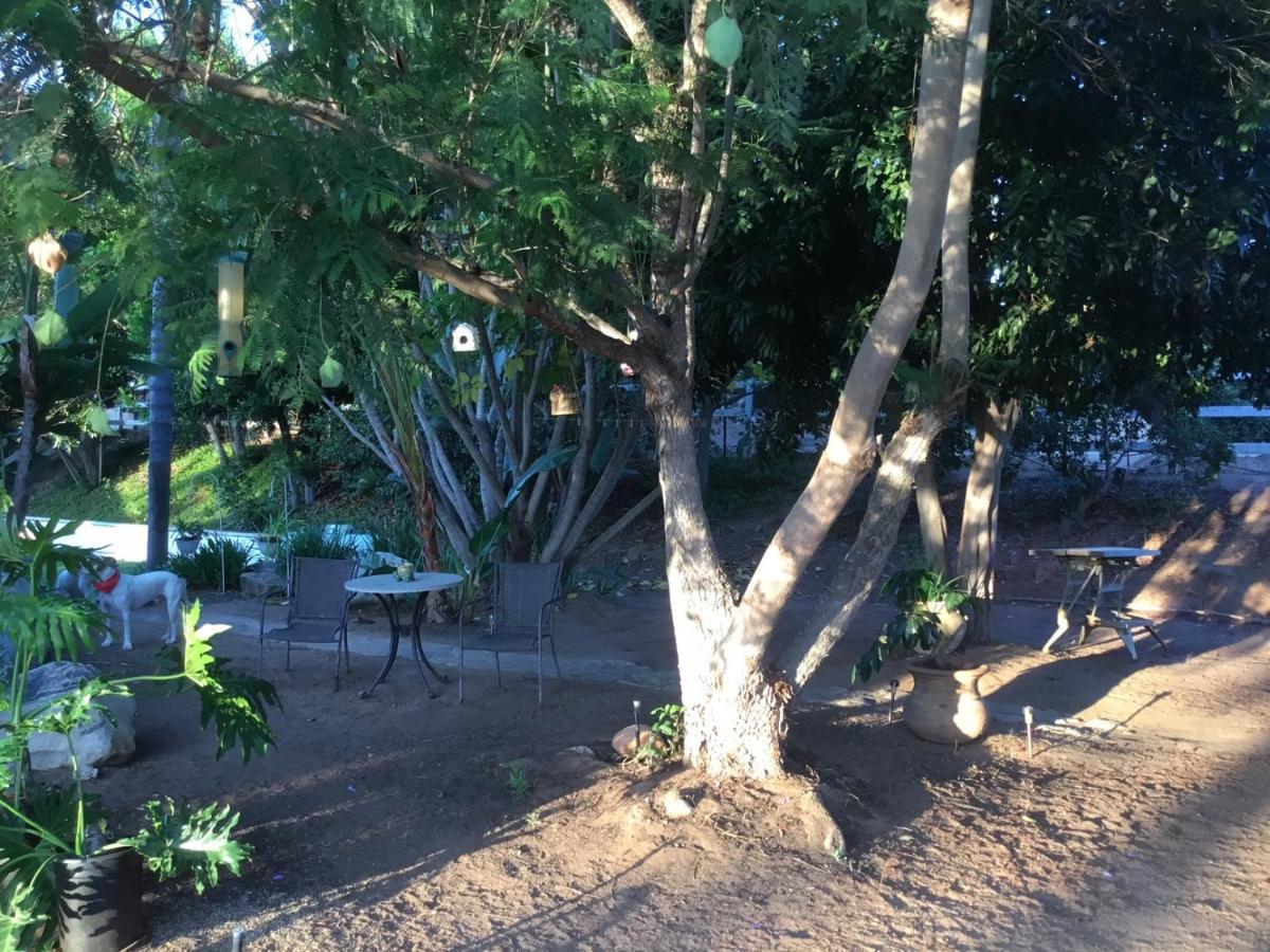 Beautiful New Detached Casita Nestled In Scenic Southern Ca Foothills! Fallbrook Extérieur photo